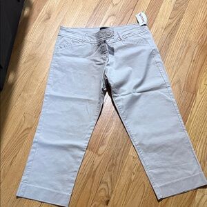 The Limited Drew Fit Light Gray Pants
